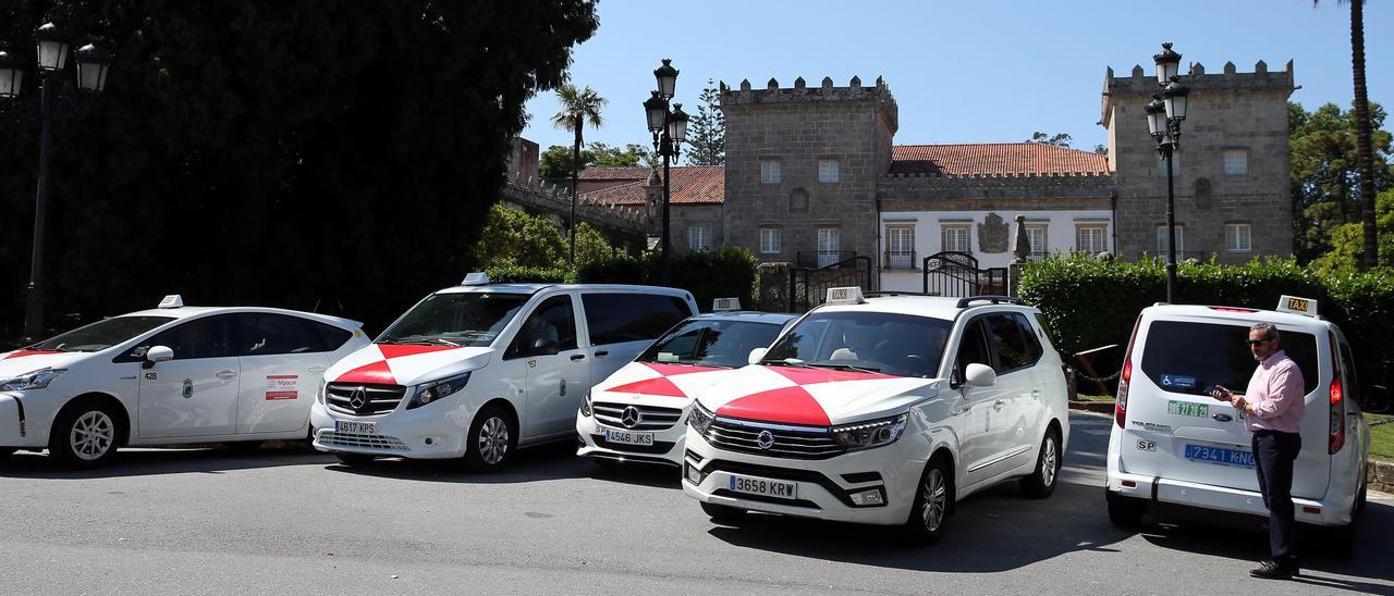 Varios taxis de Vigo estacionados en el parque de Castrelos.