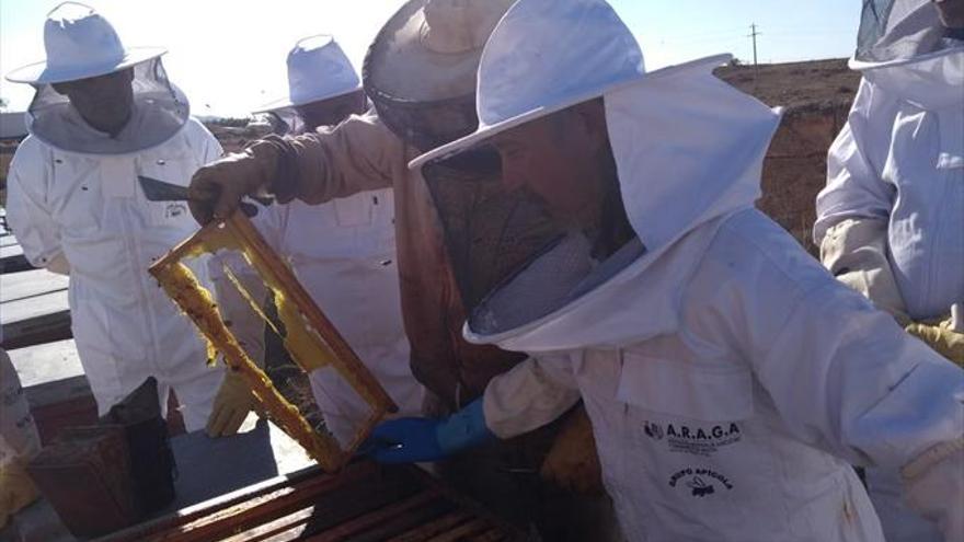 Lumpiaque acoge un curso de apicultura