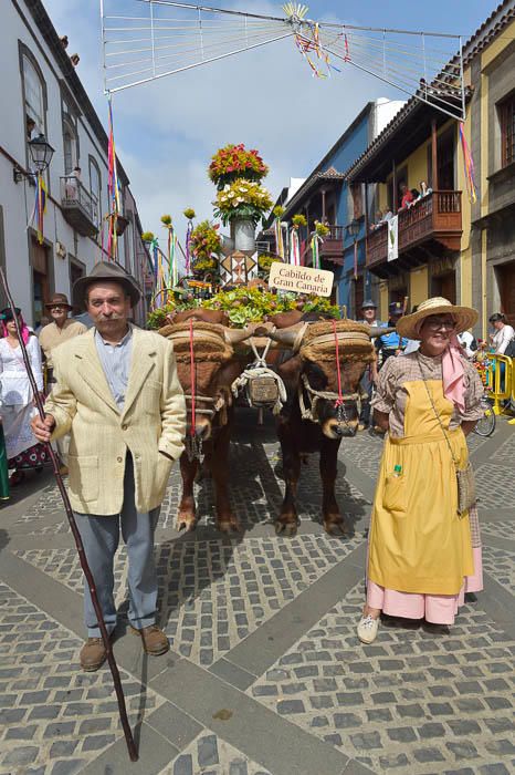 Carretas y grupos en la romería del Pino