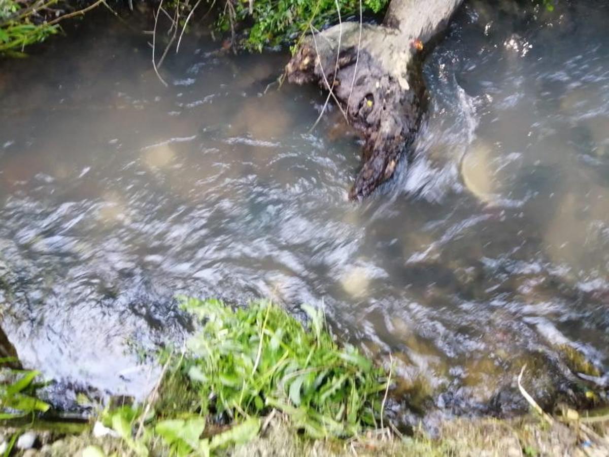 Residuos fecale en el río Bouzós.   | // FDV