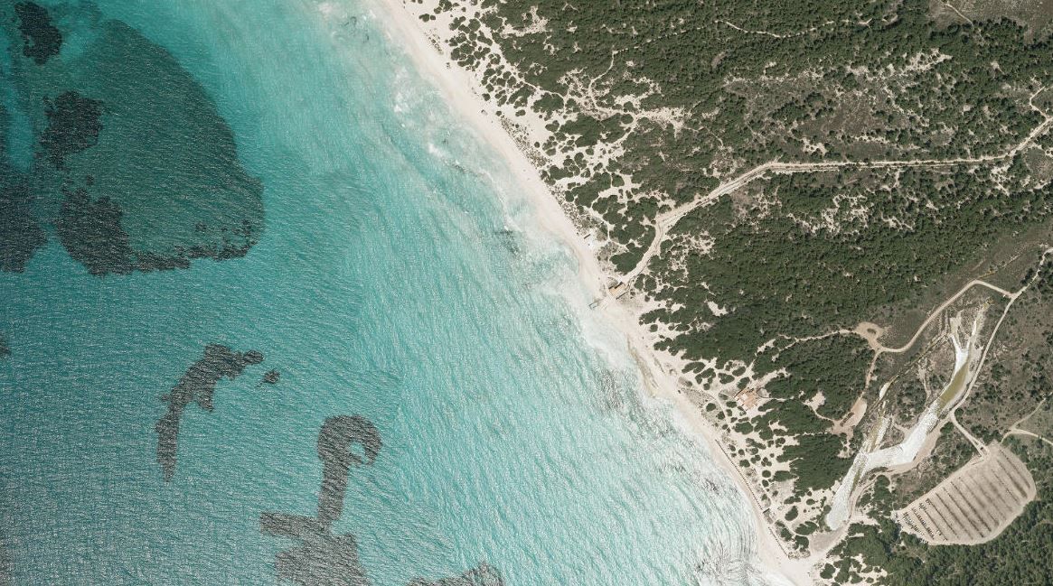 La costa de Es Trenc ha retrocedido 13,5 metros en 65 años