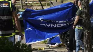 "Varias personas" asesinan a tiros en Madrid a Andriy Portnov, asesor del expresidente ucraniano Yanukóvich