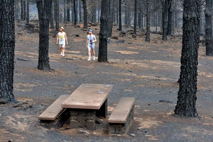 INCENDIO CUMBRE GRAN CANARIA