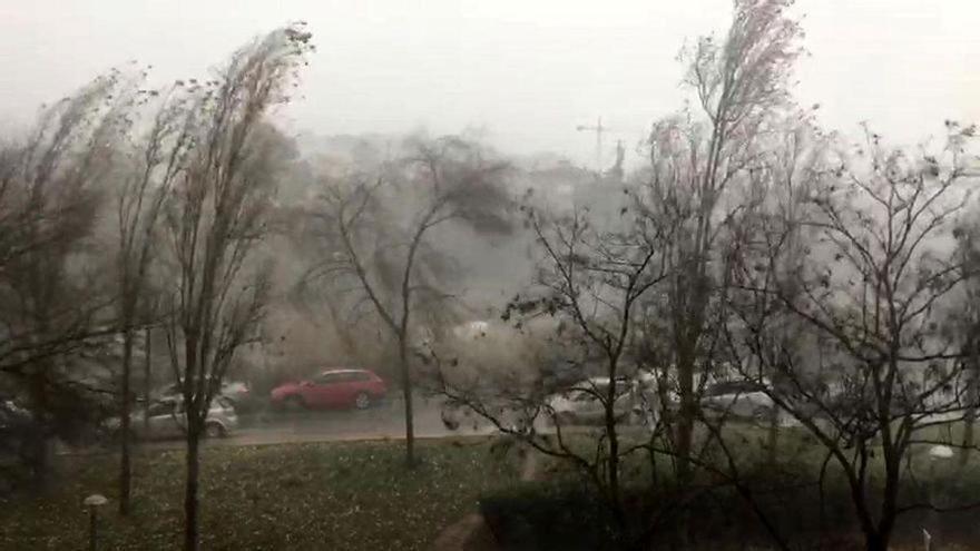 El viento de hasta 70 kilómetros a la hora pone en alerta al norte de Extremadura