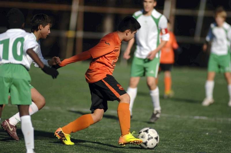 Olivar-Juventud (Infantil G-1)