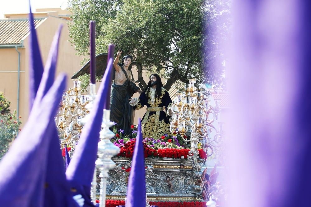 Domingo de Ramos l Huerto