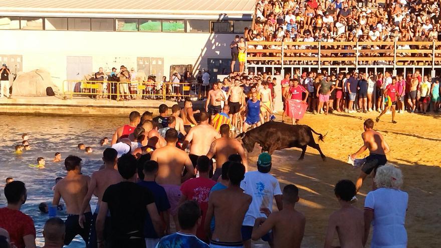 Dénia suprime las sesiones de mediodía de &quot;bous a la mar&quot; para evitar sufrimiento a los animales