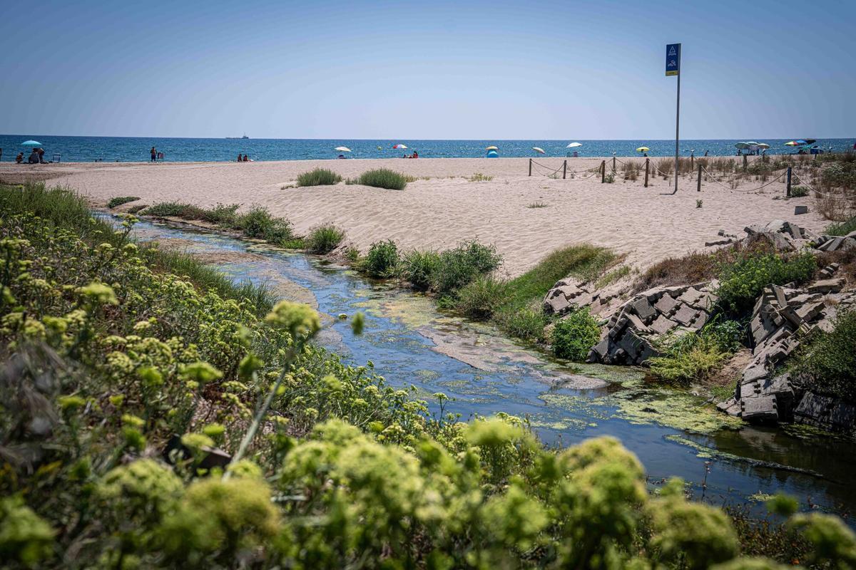 Imágenes de la desembocadura del Estany de la Murtra y de las playas de Gavà, en el delta del Llobregat, donde está previsto aplicar crecidas controladas inspiradas en el modelo del río Ebro para favorecer el aporte de sedimentos en las desembocaduras. A 5 de agosto de 2026. Sociedad. AUTOR: MANU MITRU