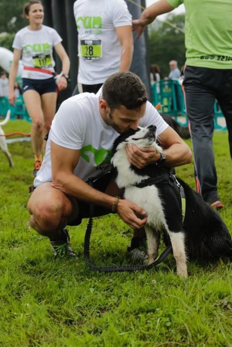 "Can We Run" reúne a más de 400 perros y corredores en el Parque Fluvial de Viesques, en Gijón.