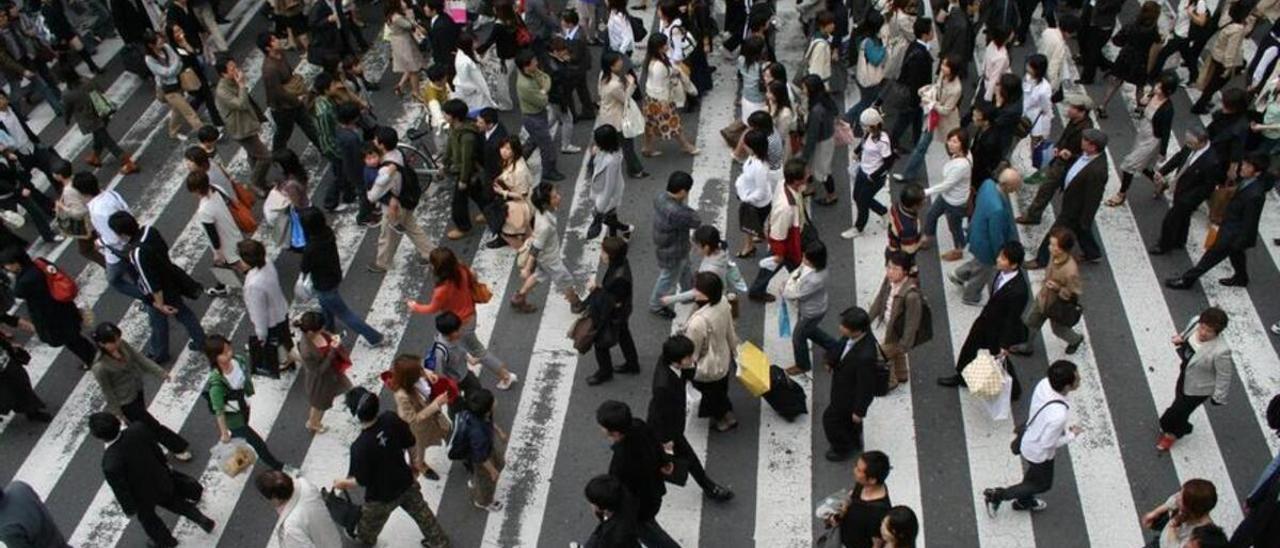 ¿Sabías que a los peatones también les pueden multar por cruzar mal la calle?