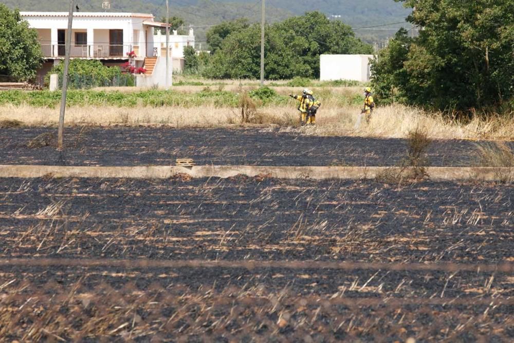 Incendio en Sant Antoni