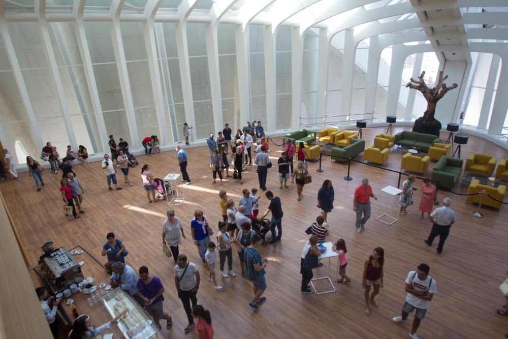 Jornada de puestas abiertas en el Palau de les Arts