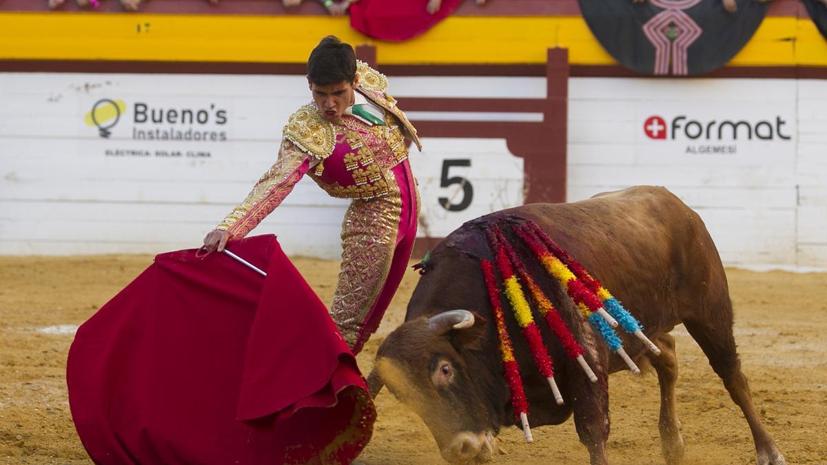 Un derechazo de Juan Alberto Torrijos, el novillero de Algemesí que debutó el miércoles con caballos