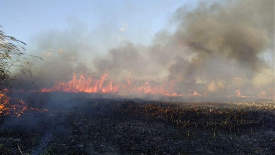 Un incendio descontrolado en s&#039;Albufera obliga a desalojar varias casas