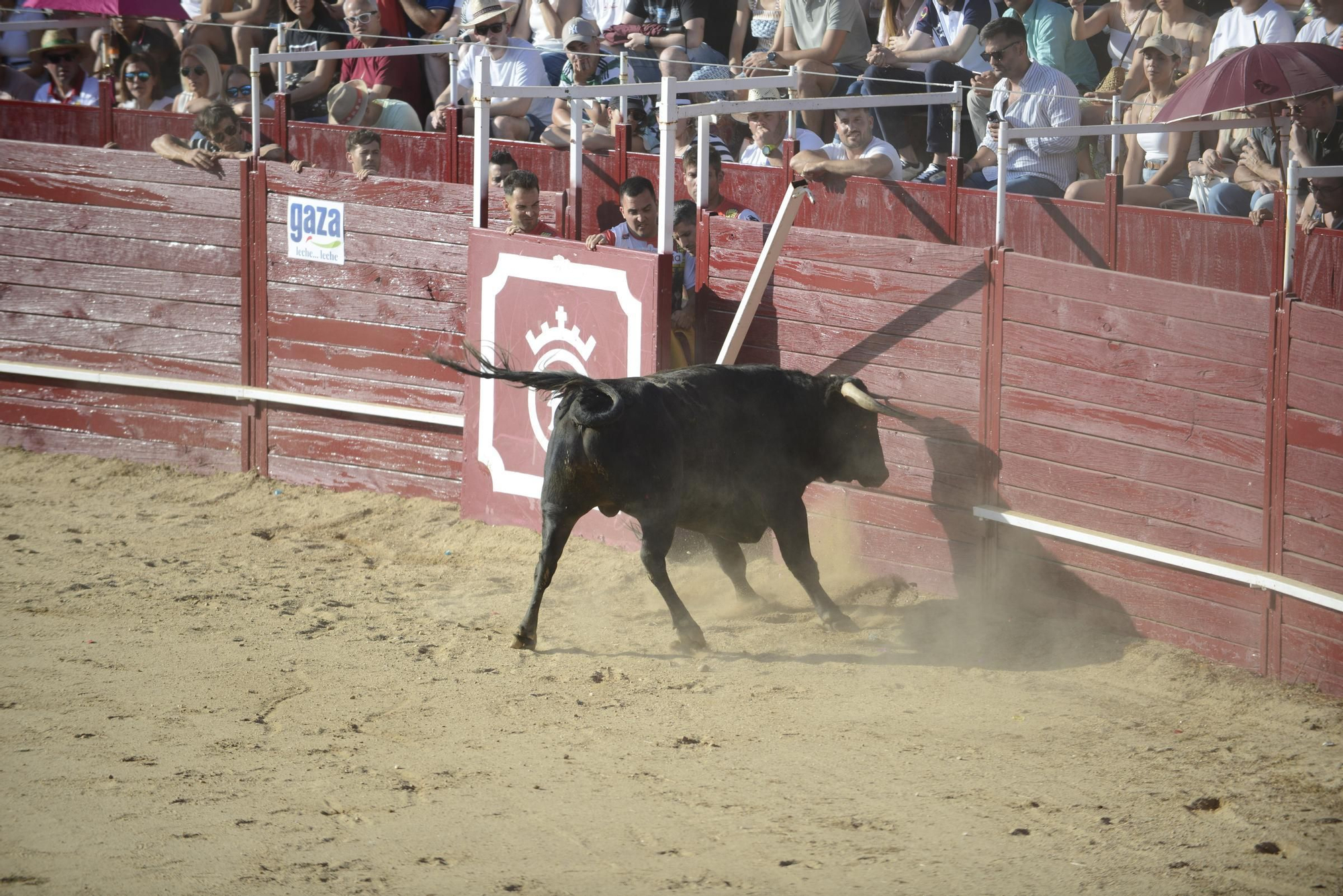GALERÍA | Unos cuantos cortes de los arriesgados en Benavente