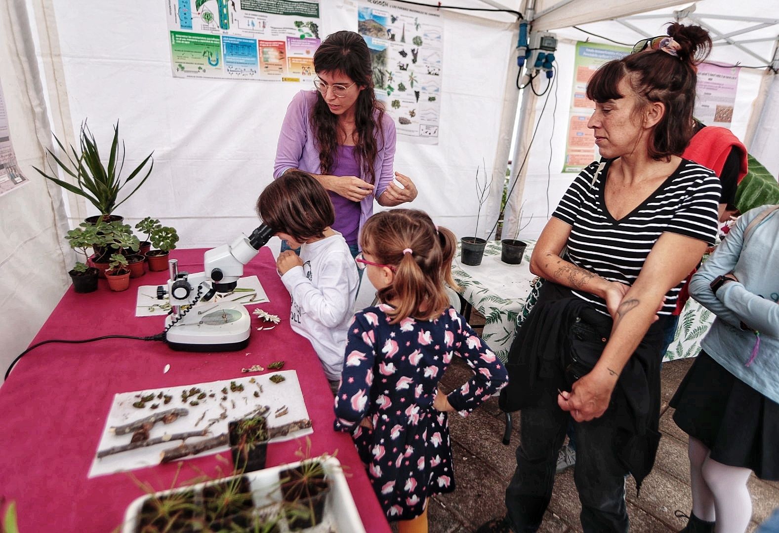 XIX Feria de la Ciencia de La Orotava