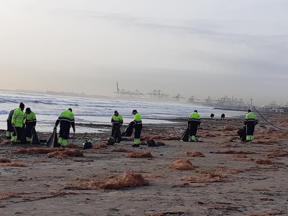 Varios operarios limpian la playa de la Patacona.