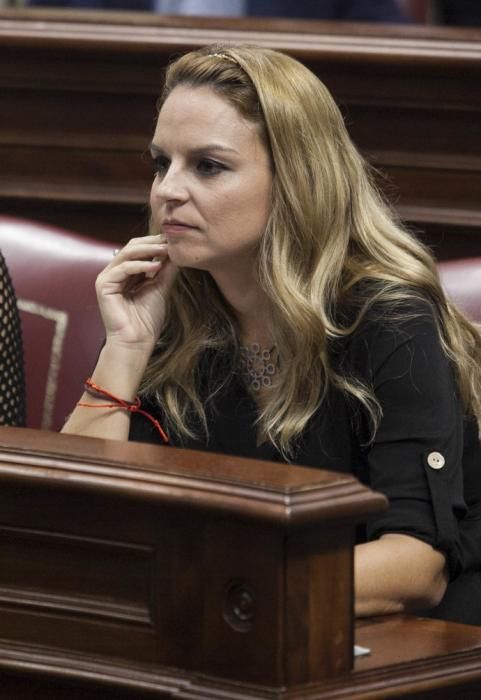 Pleno en el Parlamento de Canarias