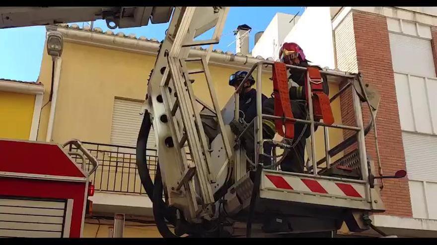 Rescatan a un cachorro que iba a caer desde un cuarto piso en Cieza