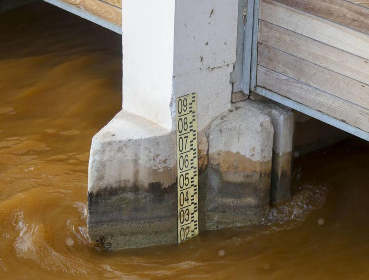 El lago de l’Albufera lleva ya un mes sin el nivel de agua mínimo fijado desde 2018