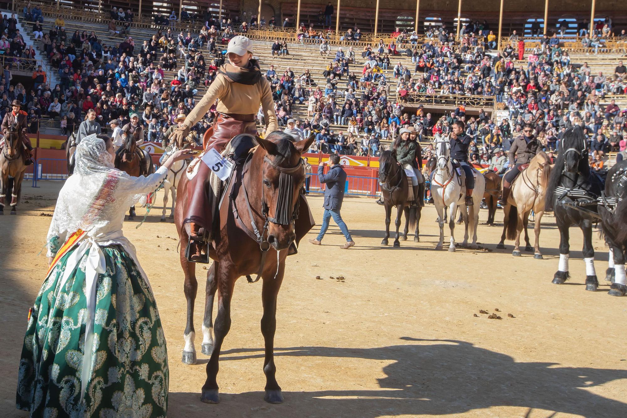 Concurso ecuestre y Bendición de animales por San Antón en Alicante