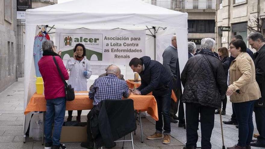 Ciudadanos, ayer, en la carpa de Alcer en la calle del Paseo. // Enzo Sarmiento