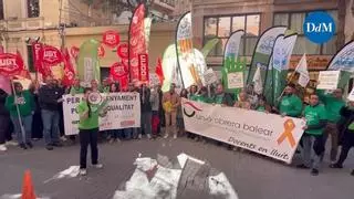 Los docentes de Mallorca claman ante el Parlament contra "el exceso de burocracia" y el "incumplimiento" de la reducción de ratios