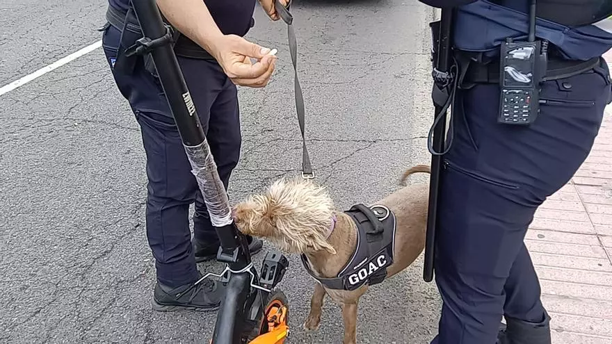 Dispositivos de seguridad de la Policía Local de San Bartolomé de Tirajana