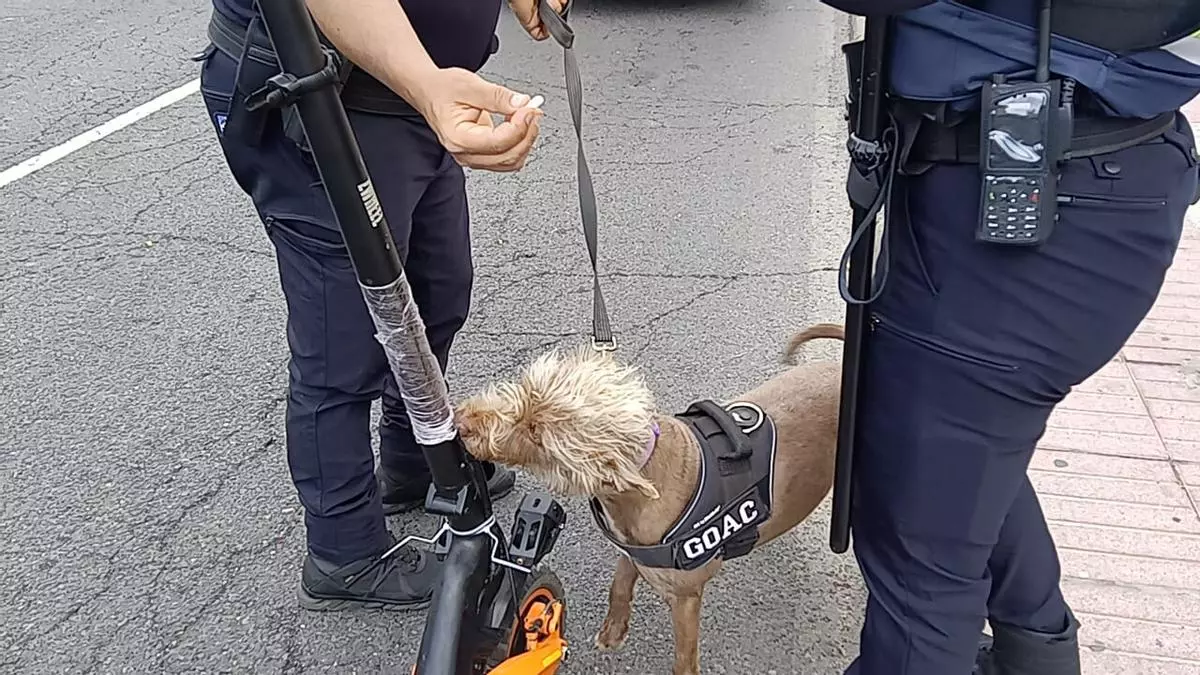 La Policía Local de San Bartolomé de Tirajana levanta 174 actas por drogas y alcohol en dos meses