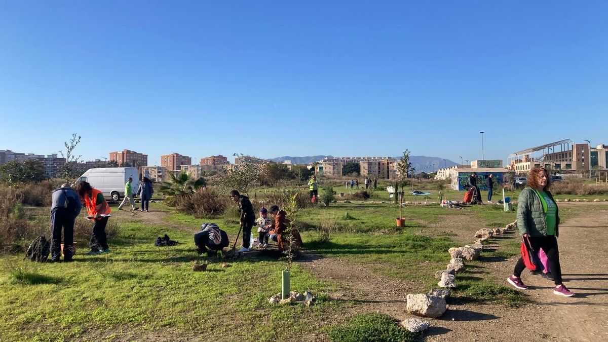 Bosque Urbano planta otros 30 árboles en los antiguos terrenos de Repsol