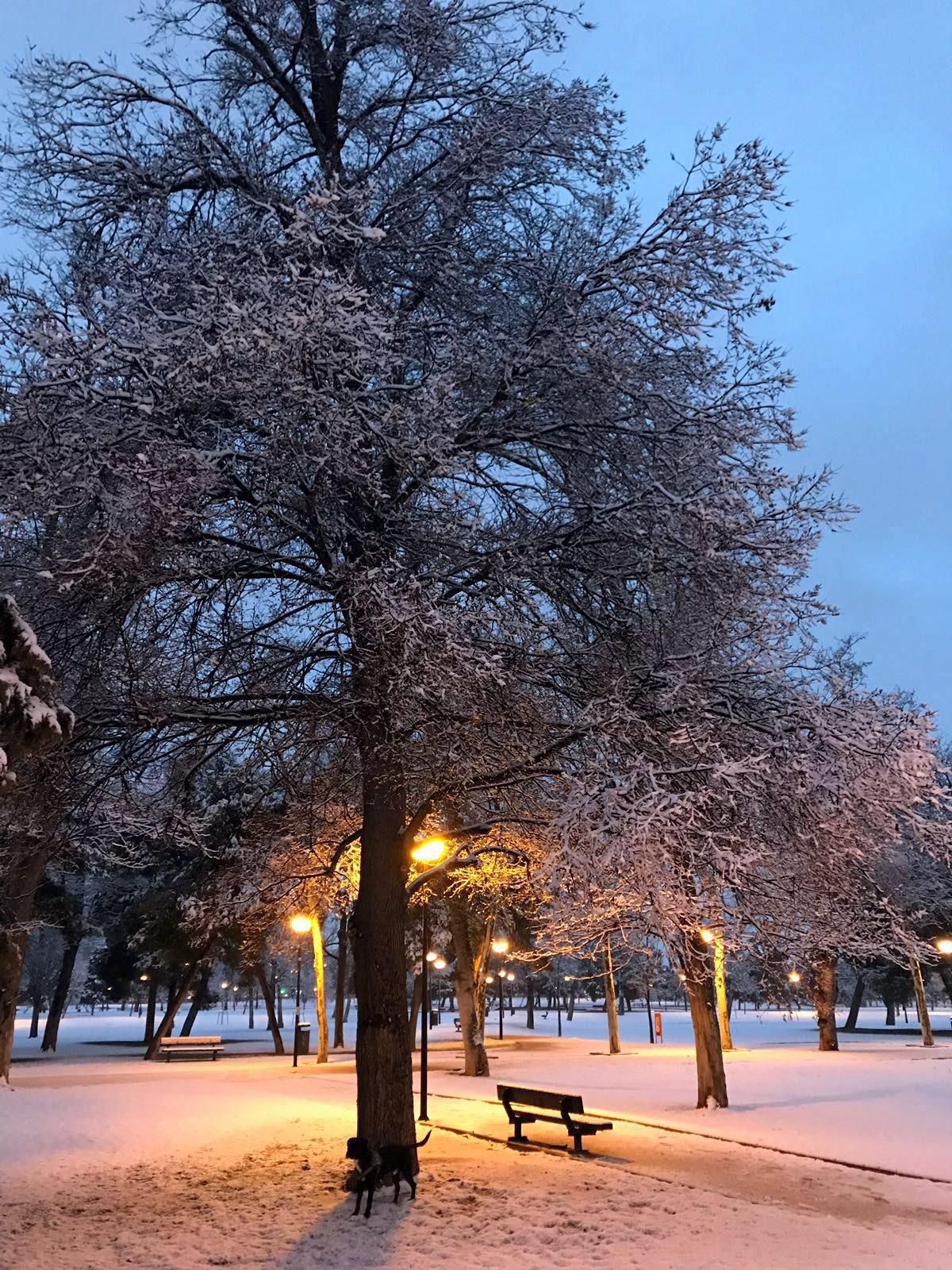 Nevada en Aragón