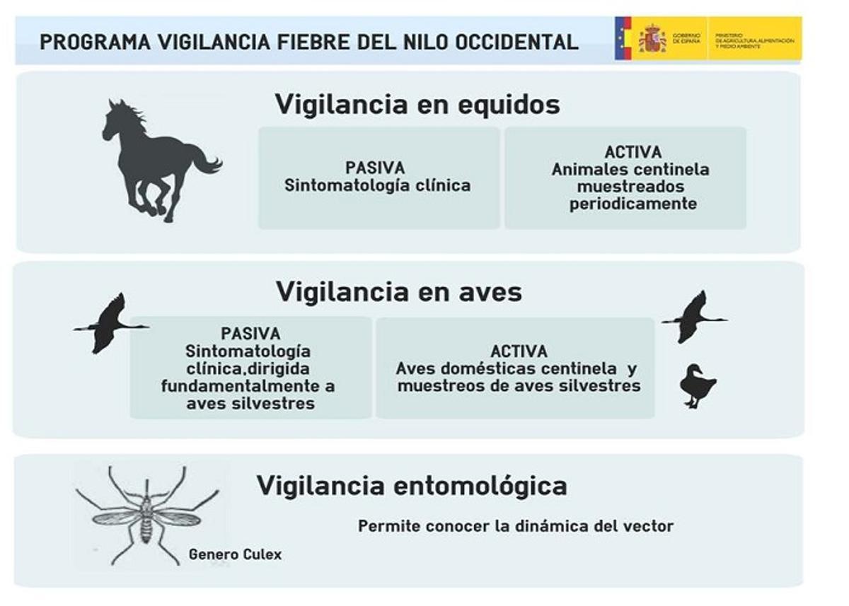 Programa estatal de vigilancia de la Fiebre del Nilo Occidental.