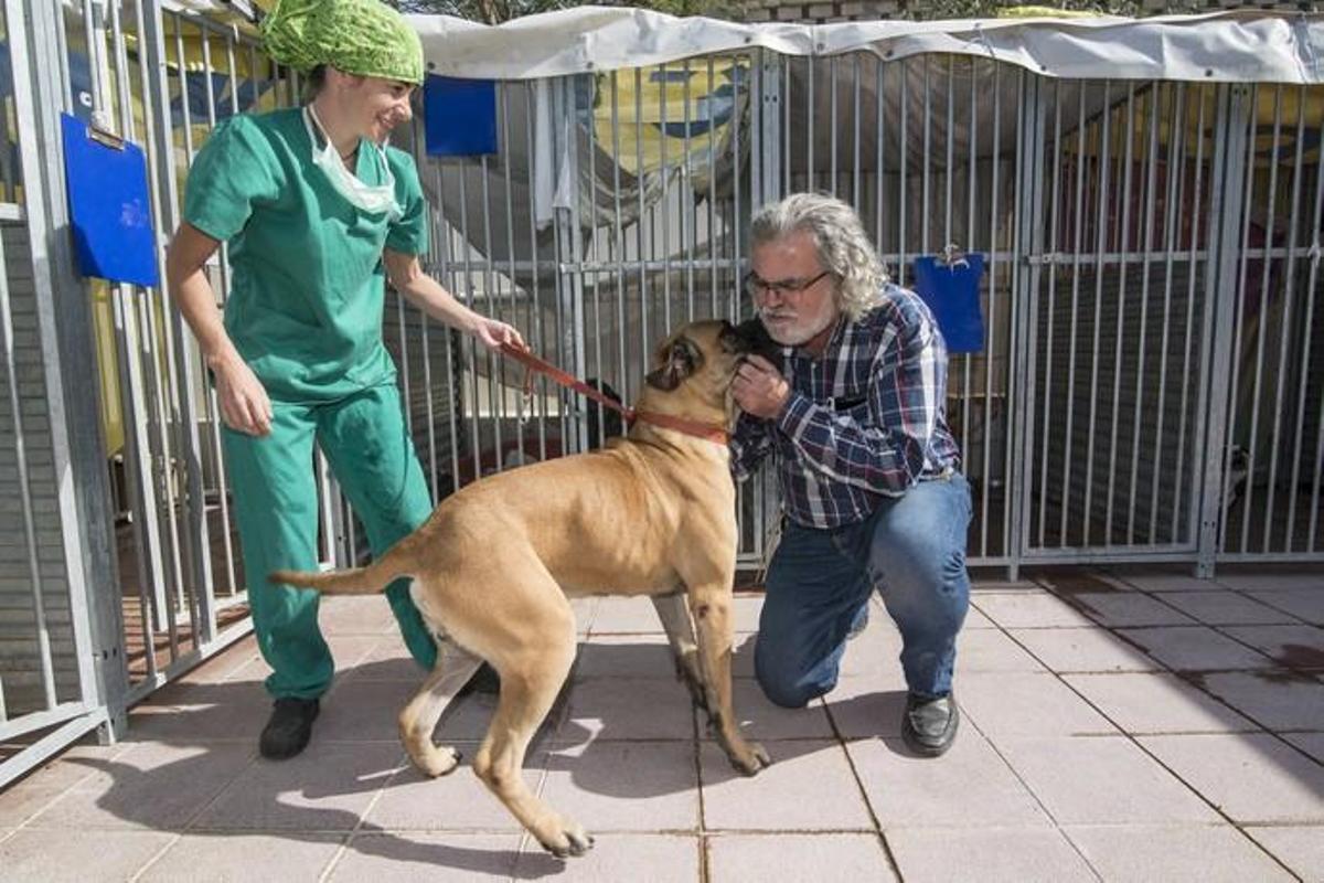 03/01/2019 ARUCAS. Albergue Insular de animales.  FOTO: J. PÉREZ CURBELO