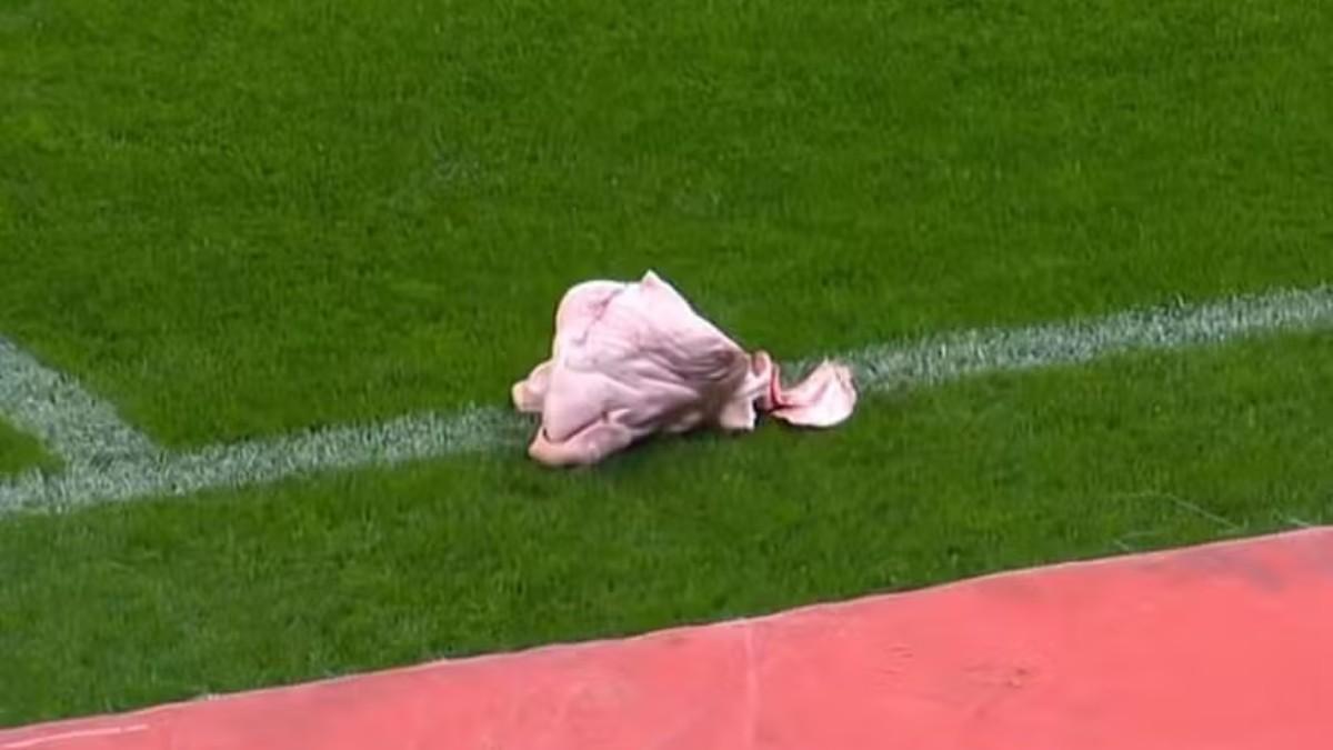 8cf81d7b-99a6-4f3d-a8db-d4cb6e7a2dbe_alta-libre-aspect-ratio_default_0