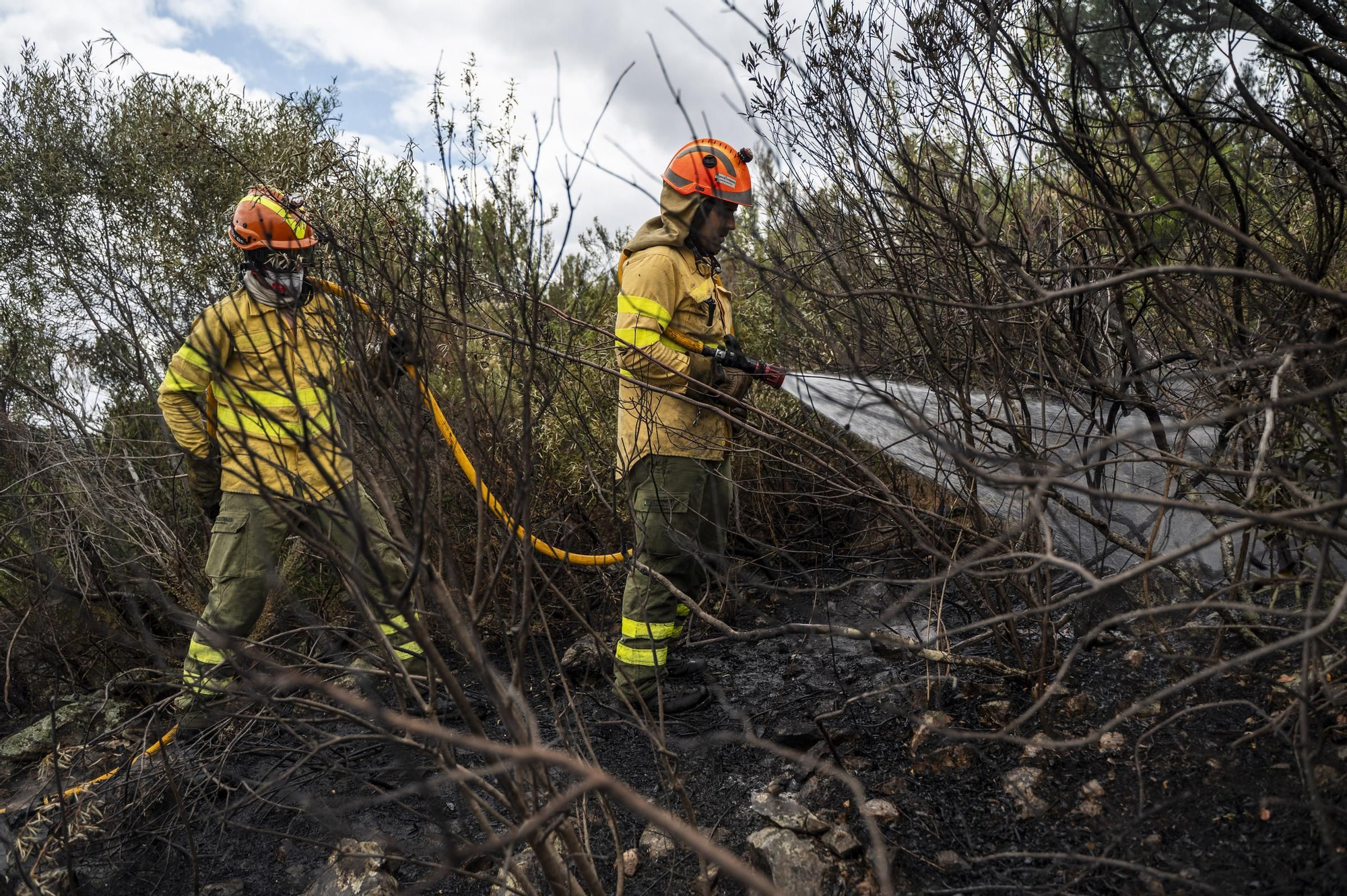 Las imágenes del incendio de este viernes en Cáceres