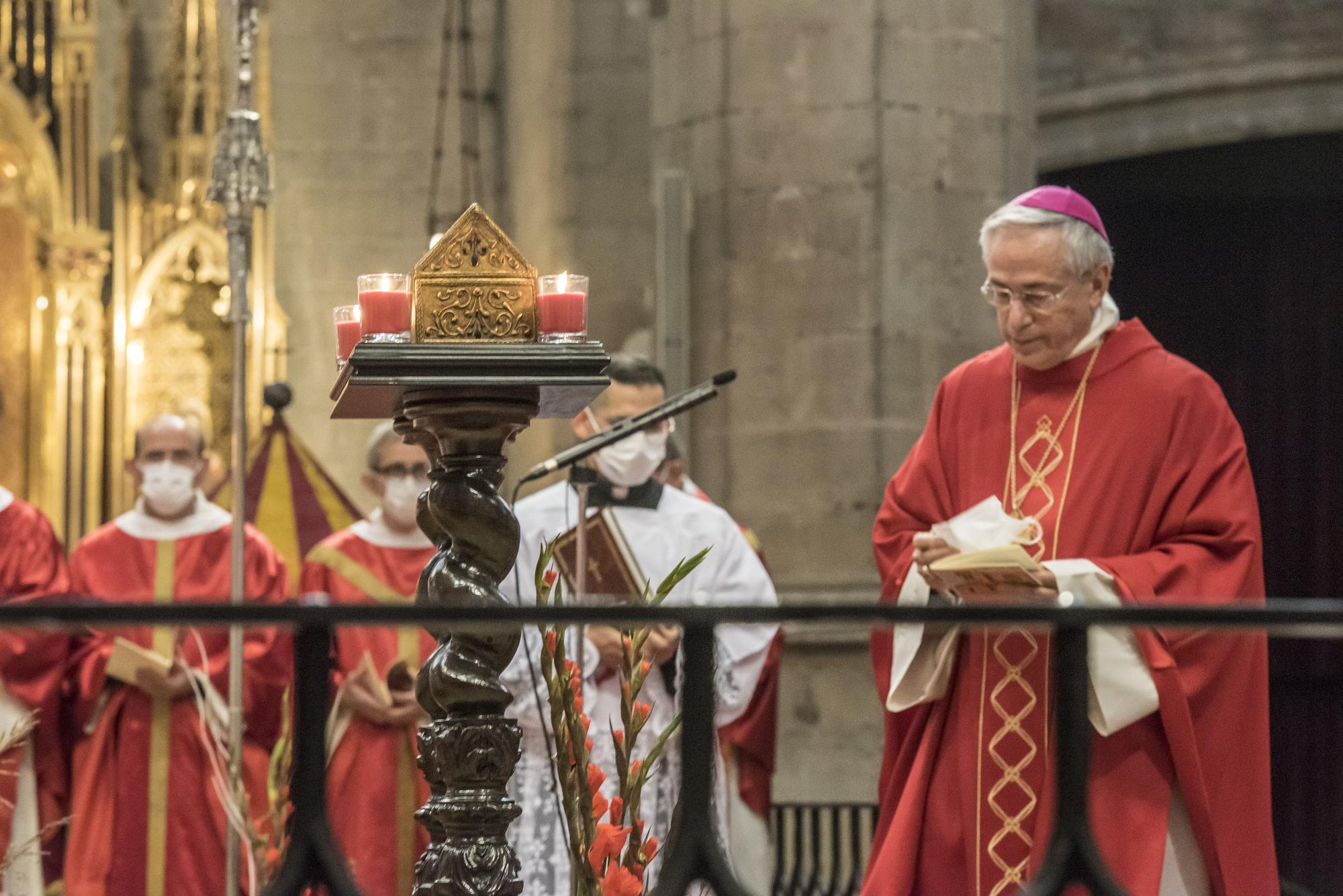 La Seu de Manresa resplendeix com una catedral en la primera beatificació que acull