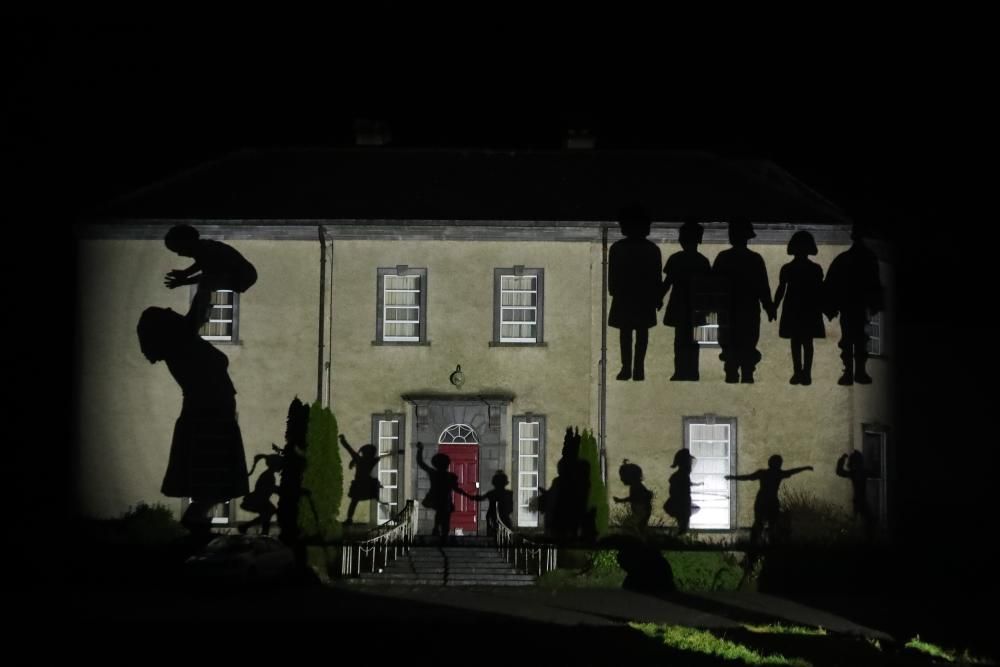 FILED - 01 February 2021, Ireland, Kildare: An ...