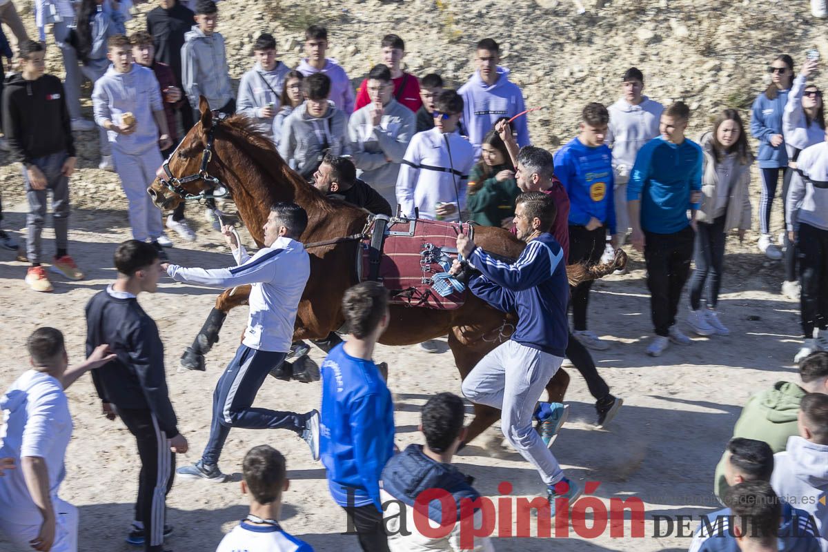 Los Caballos del Vino de Caravaca calientan motores