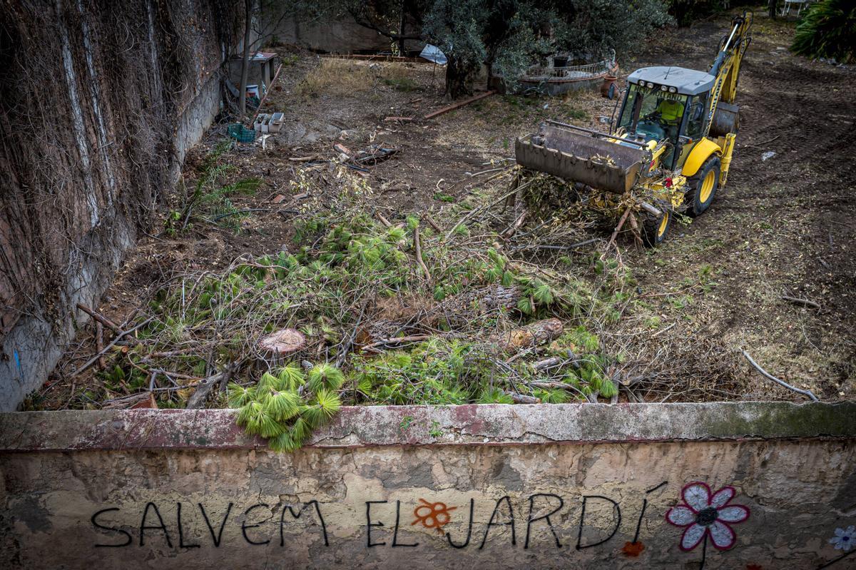 Tala de árboles en 2023 en el jardín de la masía de Can Raventós, en el barrio de Sarrià, en Barcelona.