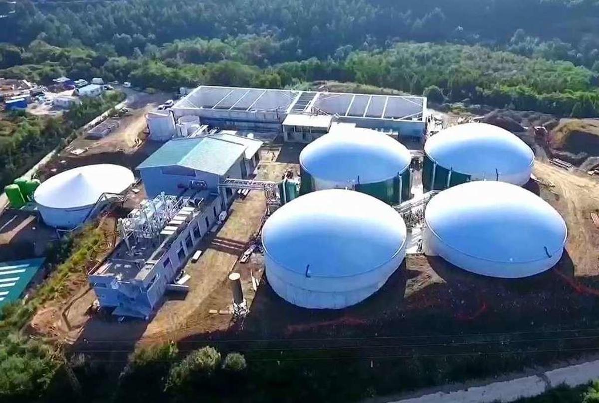 Endesa retoma su interés por crecer en Asturias con proyectos de parques eólicos
