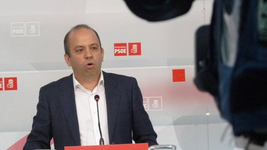 El PSOE aboga por aunar fuerzas y crear la &quot;marea social progresista&quot;