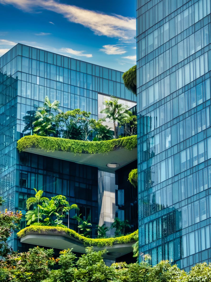 Las plantas dan vida al distrito empresarial de Singapur.