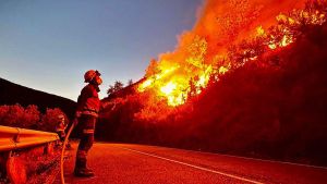 Espanya mira al Canadà i Austràlia  per traçar una ‘convivència’ amb el foc