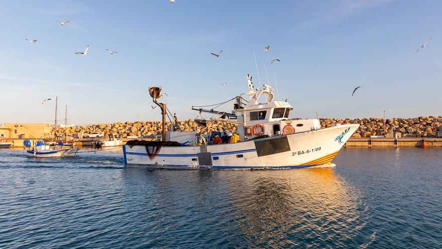 Els pescadors d&#039;encerclament de l&#039;Alt Empordà i de les comarques gironines comencen la veda de dos mesos