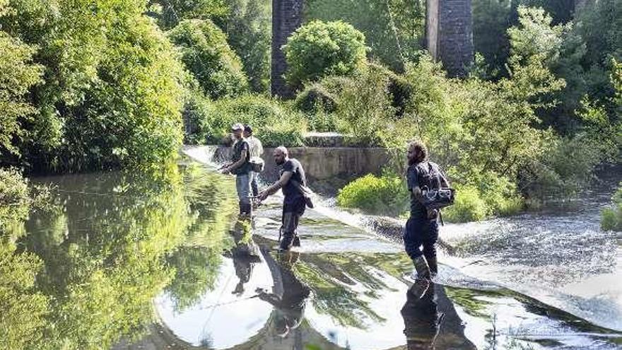 Pescadores, el martes en el río Arenteiro. // C.P.