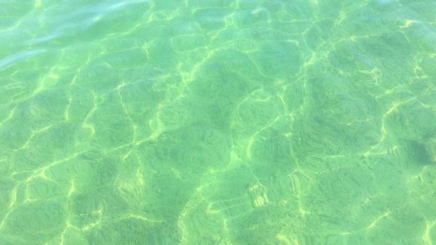 Aumenta la transparencia del Mar Menor pese a la alta temperatura del agua