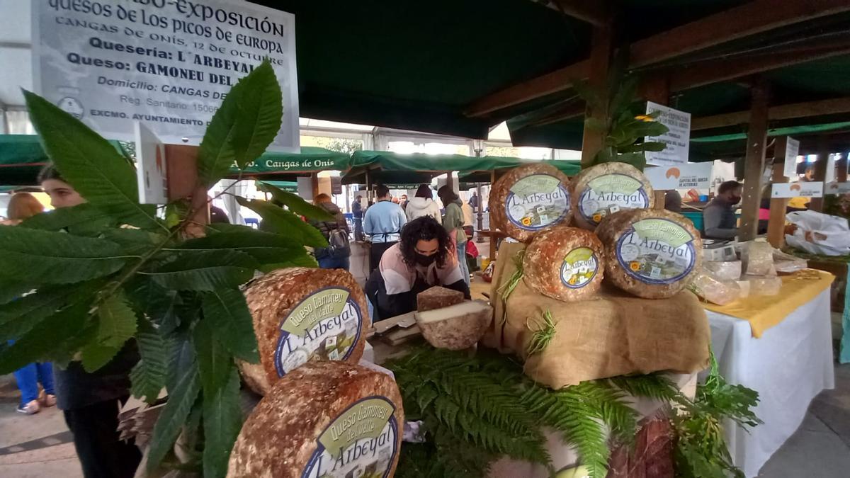 Cangas de Onís, a tope con el certamen quesero