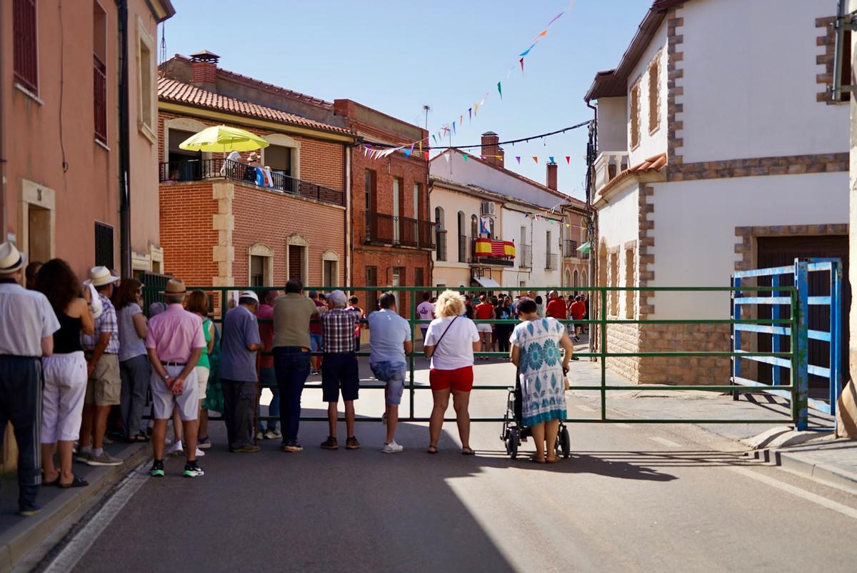 GALERÍA | Emoción y riesgo en el encierro de La Bóveda de Toro