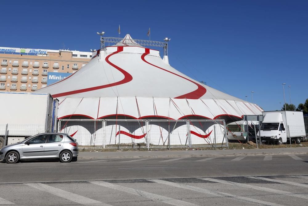 Un circo con animales en Alfafar, el único en la Comunitat