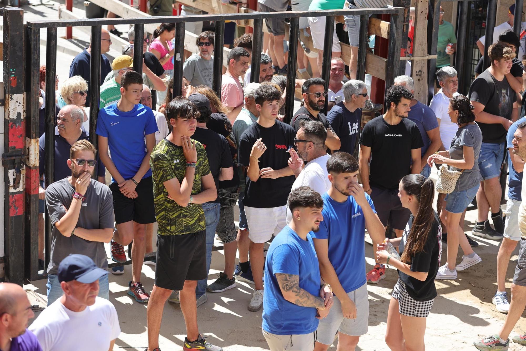 Encierro de cerriles en las fiestas de Sant Pere del Grau